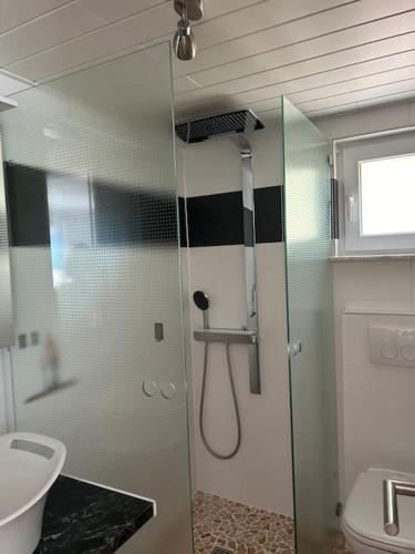a bathroom with a shower and a toilet and a sink at Ferienwohnung in Alpirsbach in Alpirsbach