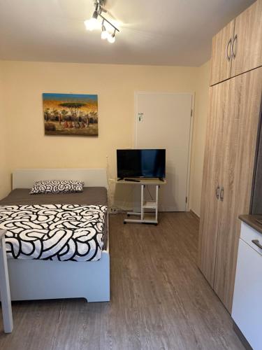 a bedroom with a bed and a flat screen tv at Nettes Apartment mit schönem Bad in Bergneustadt