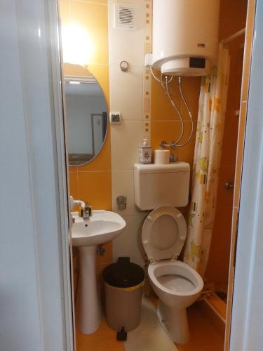 Gornja TrepčaにあるIzvoriのトイレと洗面台のある小さなバスルーム