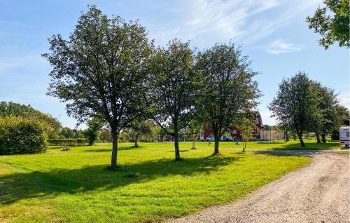 a group of trees in a field with a dirt road at 2 Bedroom Cozy Home In Skruv in Skruv