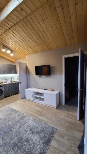 Kuchyň nebo kuchyňský kout v ubytování winter house GUDAURI