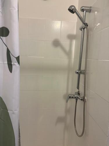 e bagno con doccia e tenda. di Gîte a Les Roches-de-Condrieu