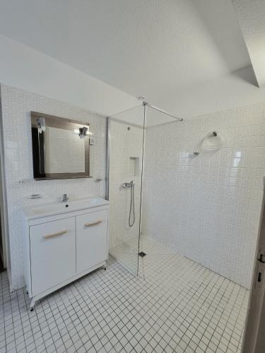 une salle de bain avec douche et lavabo dans l'établissement Chaleureux moulin en pierre avec maison attenante, à Castérat-Bouzet