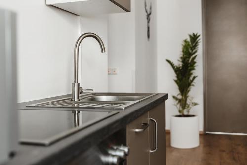Kuchyň nebo kuchyňský kout v ubytování Shared-LiveWork Suites