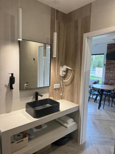a bathroom with a black sink and a mirror at Borowe Apartamenty in Borowe