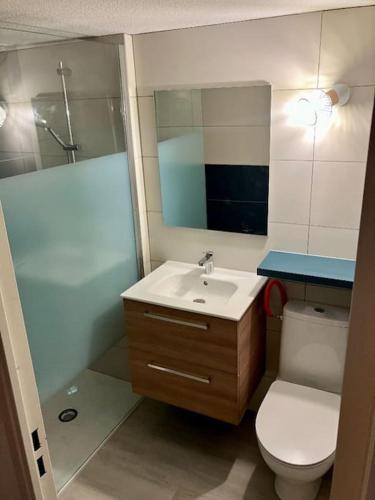 une salle de bain avec un lavabo, des toilettes et un miroir dans l'établissement Appartement vue lac, à Leucate