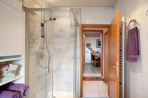 a bathroom with a walk in shower and a walk in shower at Ferienwohnung Failte in Niederselters