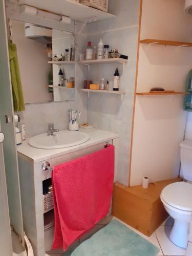 une salle de bain avec un lavabo et une serviette rouge dans l'établissement Appartement La mer de glace, à Chamonix-Mont-Blanc