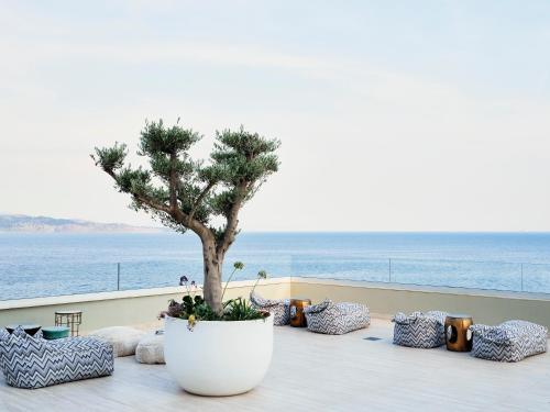 a tree in a white pot on a balcony with the ocean at Atlantica Nissaki Beach - Adults Only in Gimari