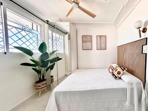 a bedroom with a bed and a potted plant at The Terrace Canalejas in Alicante