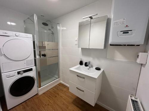 ein kleines Bad mit einem Waschbecken und einer Waschmaschine in der Unterkunft Dream house in Lille