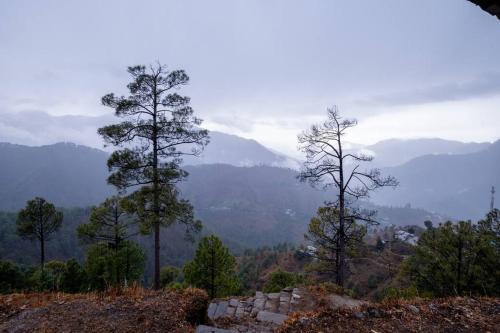 a group of trees on top of a mountain at Breezy Affair -Binsar View Boutique Room in Binsar