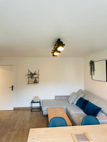- un salon avec un canapé gris et des oreillers bleus dans l'établissement Superbe Appartement Poissy proche Gare / Stellantis, à Poissy
