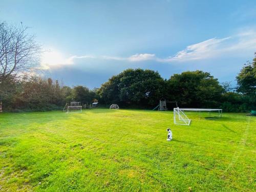 a dog walking in a field with a soccer ball at Camp Hillcrest, flat, in Gloucestershire