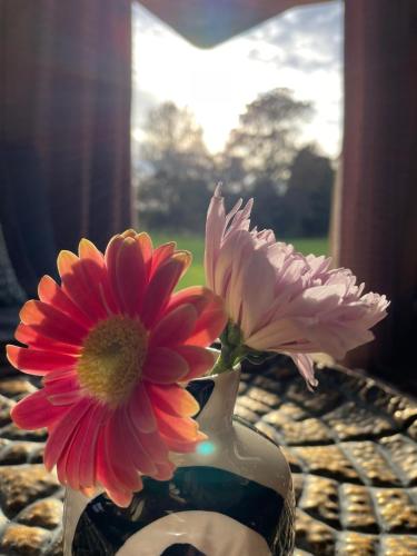 two flowers in a vase on a table at Pear Tree Hut at Carr house farm in Scarborough