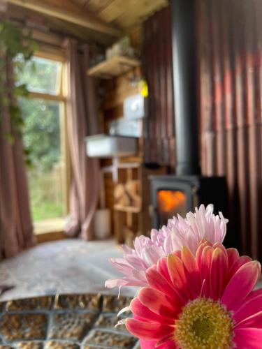 a pink flower sitting on a table in front of a fireplace at Pear Tree Hut at Carr house farm in Scarborough