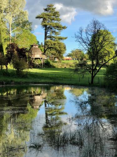 a pond with trees and a house in the background at Domaine La Roche Bellin in Descartes