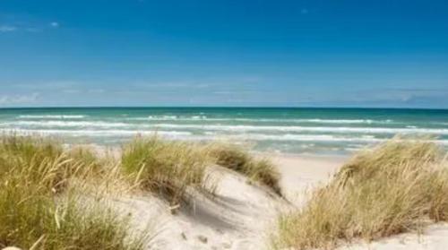 a beach with grass and the ocean in the background at Holiday apartment & boat rental in Sindal