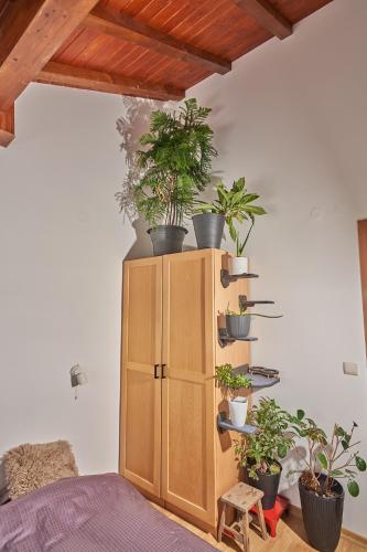 Фотография из галереи Panoramic 2 Bedroom Cabin Retreat Japanese Style в Банско