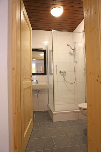 a bathroom with a shower and a toilet at Der Ulmenhof in Gosau