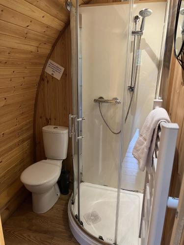 a bathroom with a shower and a toilet in a cabin at Mountain Edge Resort Mega pod 2 with Hot Tub in Church Stretton