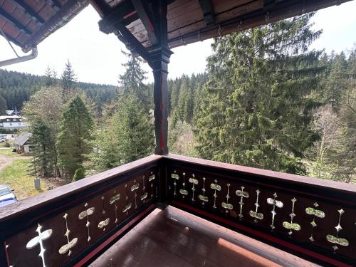 a balcony with a view of the mountains at Villa Märchenland in Kurort Altenberg