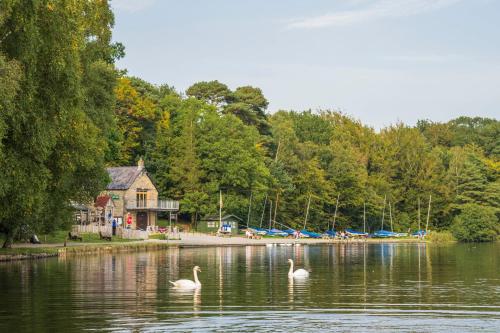 two swans swimming in the water in front of a house at Farlam Hall Hotel & Restaurant in Brampton