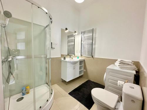 a bathroom with a shower and a toilet and a sink at Komfortowy apartament z tarasem w pobliżu jeziora i Gór Sowich in Bielawa