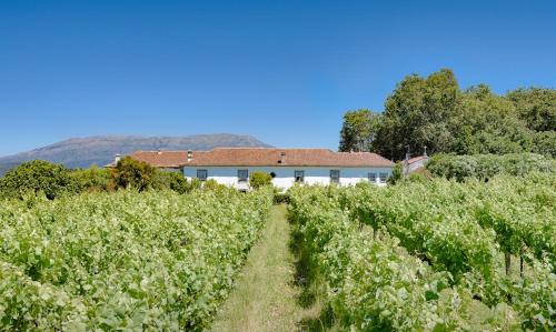 a house in the middle of a field of crops at Paço de Lanheses - Turismo de Habitação in Lanheses
