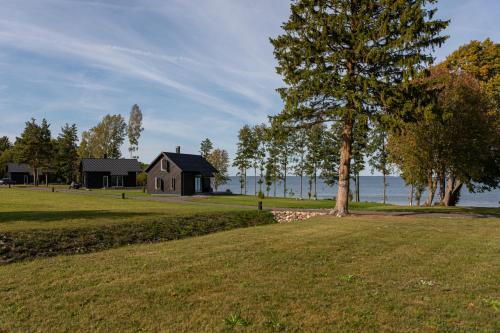 a house and a tree in a grassy field at Soela Beach Houses in Soela
