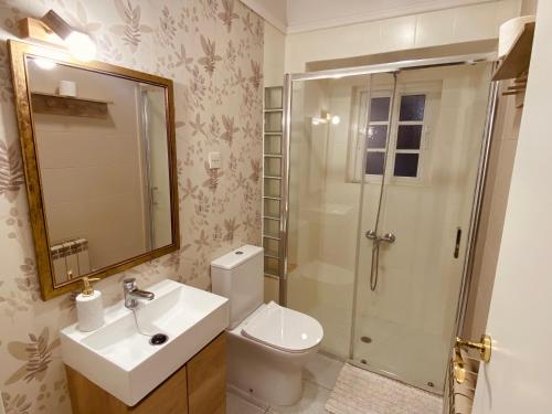 a bathroom with a shower and a toilet and a sink at Alojamiento Virita in Nigrán