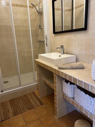 une salle de bain avec un lavabo et une douche dans l'établissement Pontaillac Royan T2 Belle Terrasse, à Vaux-sur-Mer