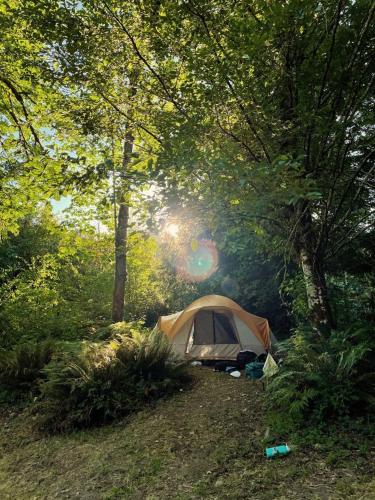 Novidade na Booking.com Acampamento na barraca Menor preço em Novidade na Booking.com Acampamento na barraca