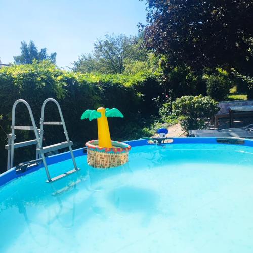 une piscine avec un jouet de canard en caoutchouc dans un panier dans l'établissement Hope House, à Chavagnes-les-Redoux