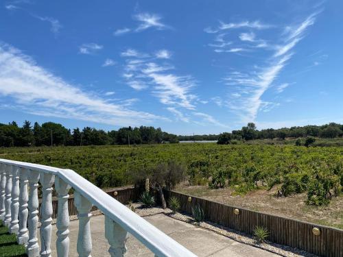 a balcony with a view of a field of plants at Adega Monte Maneta in Setubal