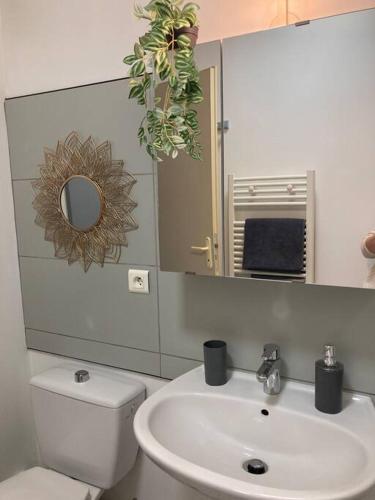 une salle de bain avec toilettes, lavabo et miroir dans l'établissement chez karine 6, à Arpajon