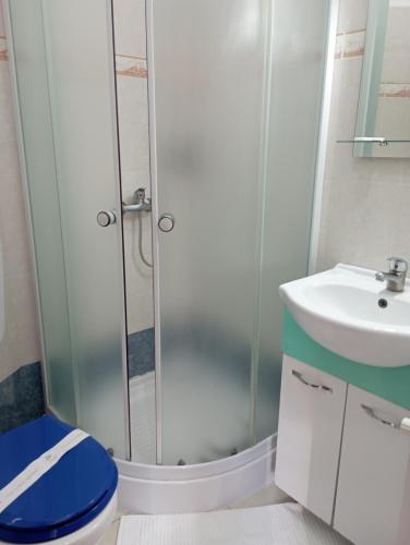 a bathroom with a shower and a toilet and a sink at Pensiunea Lina in Lepşa