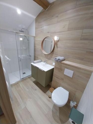 une salle de bain avec toilettes, lavabo et douche dans l'établissement Gite 24 Personnes, à La Gaubretière