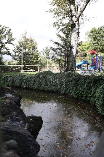 a pool of water with a tree and a playground at Dilijan Park Resort & Villas in Dilijan