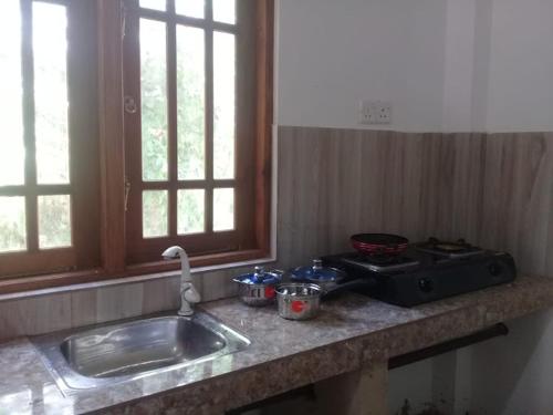 韦利格默Dilana Villa的厨房柜台设有水槽和炉灶。