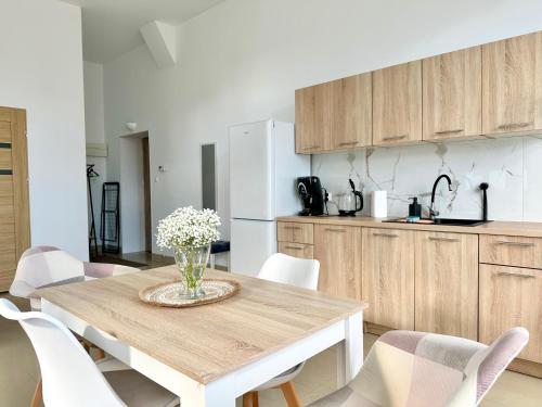Kuchyň nebo kuchyňský kout v ubytování Luksusowy apartament na parterze w okolicy jeziora i Gór Sowich