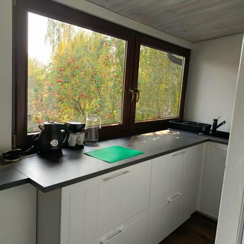 a kitchen with a counter top with a window at TOSKANA Nadarzyn in Nadarzyn