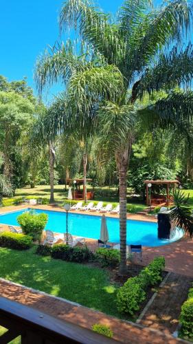 a palm tree next to a swimming pool at Hotel Che Roga in Puerto Eldorado