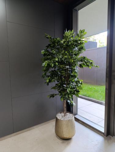 Zahrada ubytování Lux apartment