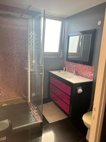 une salle de bain avec un lavabo et une douche dans l'établissement chambre dans les hauteurs de lyon proche Fourviere chez l hote, à Lyon