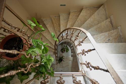 a bathroom with a mirror and some plants at Luxury 3 Bedroom Apartment with Garden in Chios