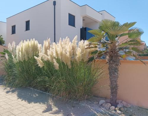 Apartmán Bobrik Vir Chorvátsko