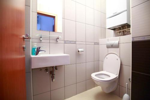 a bathroom with a toilet and a sink at Apartment Hurcak in Zagreb