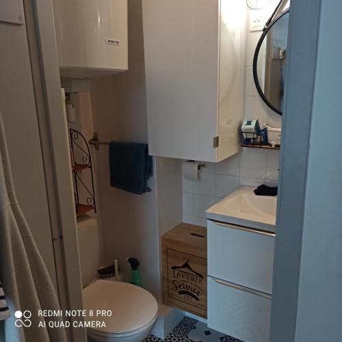une petite salle de bain avec un lavabo et des toilettes dans l'établissement Studio centre ville, à Les Sables-dʼOlonne
