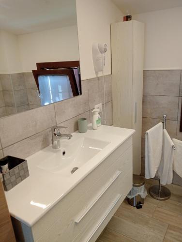 a bathroom with a white sink and a mirror at Casa di Irene in Reggio Emilia